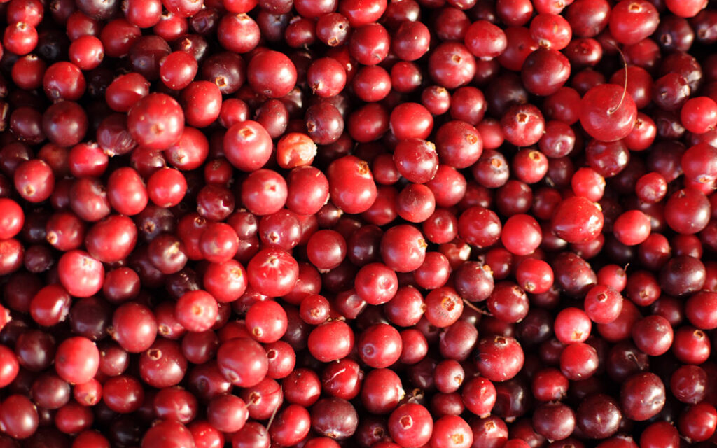Cranberries