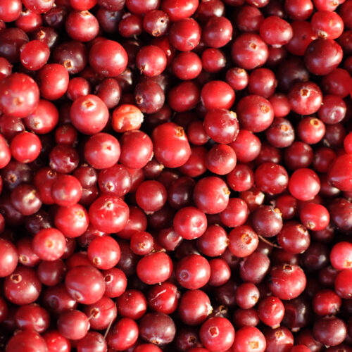 Cranberries