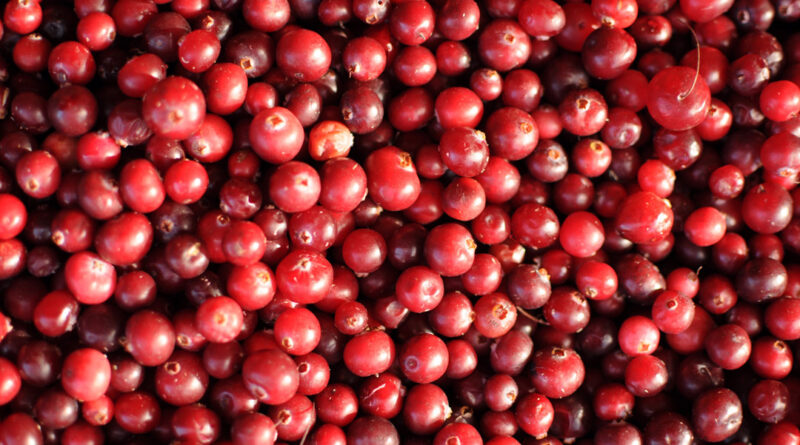 Cranberries
