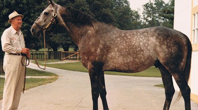 Spectacular Bid