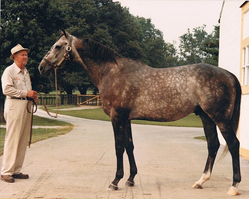 Spectacular Bid