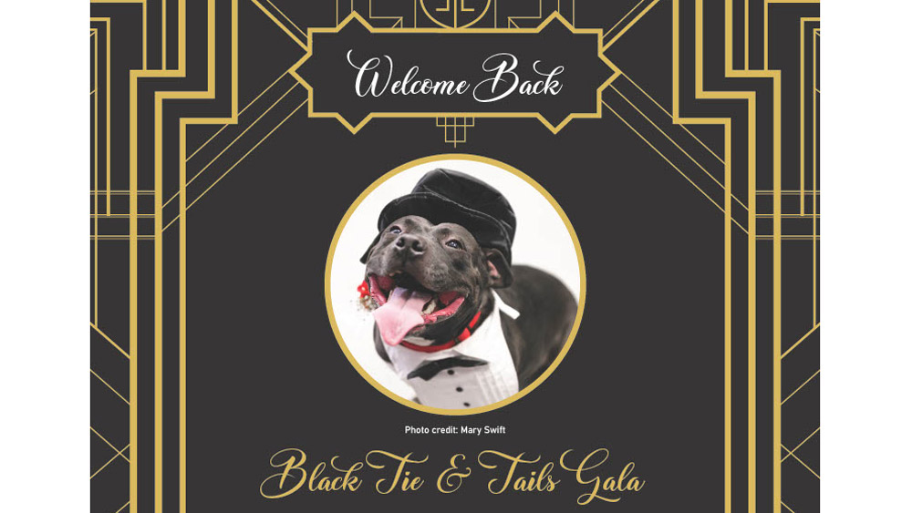 Baltimore Humane Society Black Tie & Tails