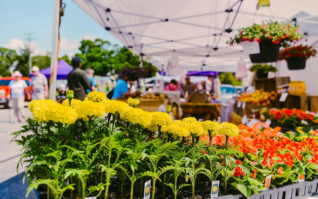 Pikesville Farmers Market
