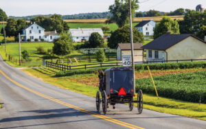 Amish horse and buggy