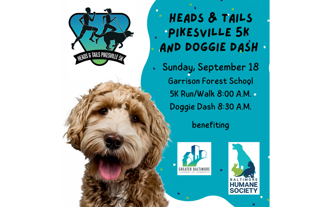 Pikesville Heads & Tails 5K & Doggie Dash