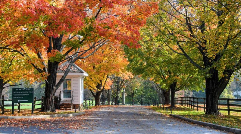 Garrison Forest School