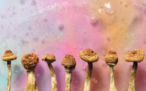 psychedelic drugs