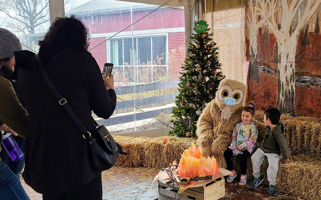 Holidays With Hoot