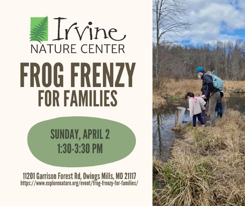 Frog Frenzy for Families at Irvine Nature Center