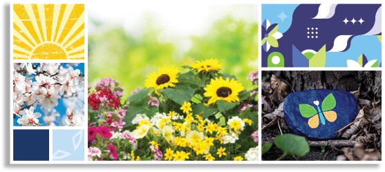 Planting Seeds of Hope