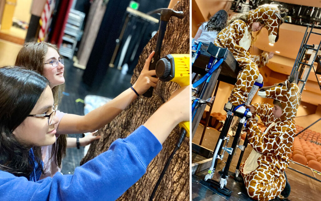 BT’s The Lion King