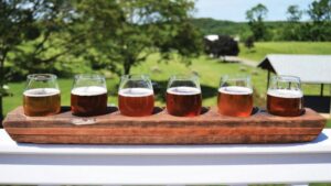 Red Shedman Farm Brewery & Hop Yard in Mount Airy