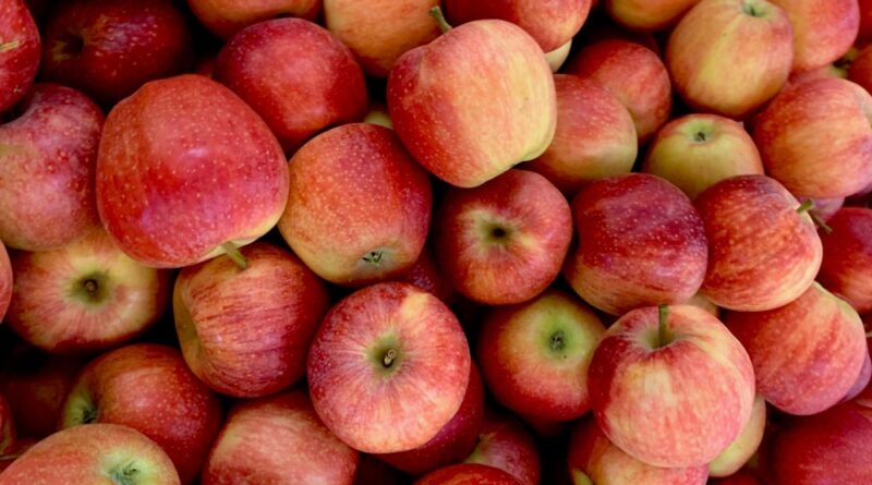 apples