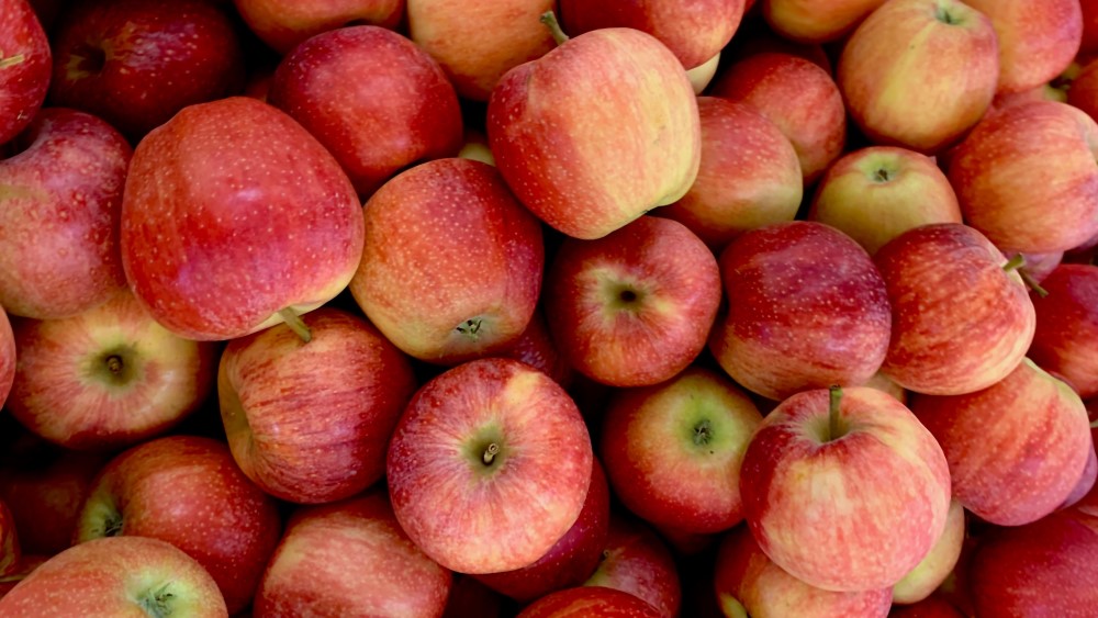 apples