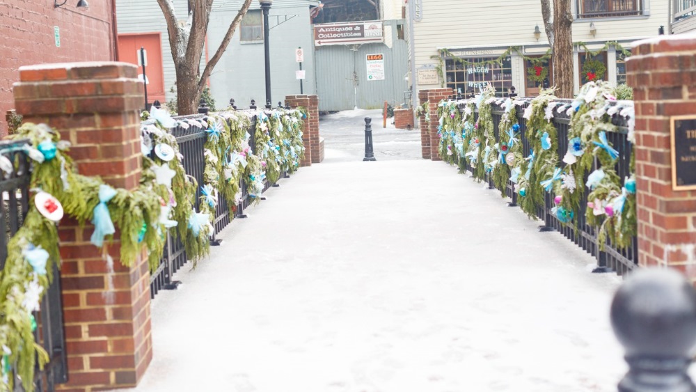 Ellicott City Main Street Snow