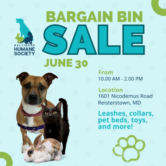 Bargain Bin Sale