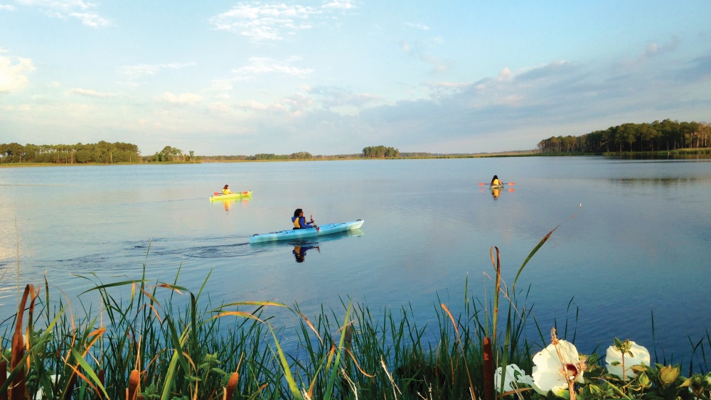 Blackwater National Wildlife Refuge