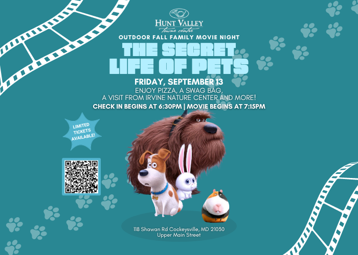 Outdoor Family Movie Night