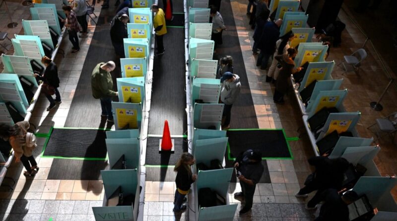 voters