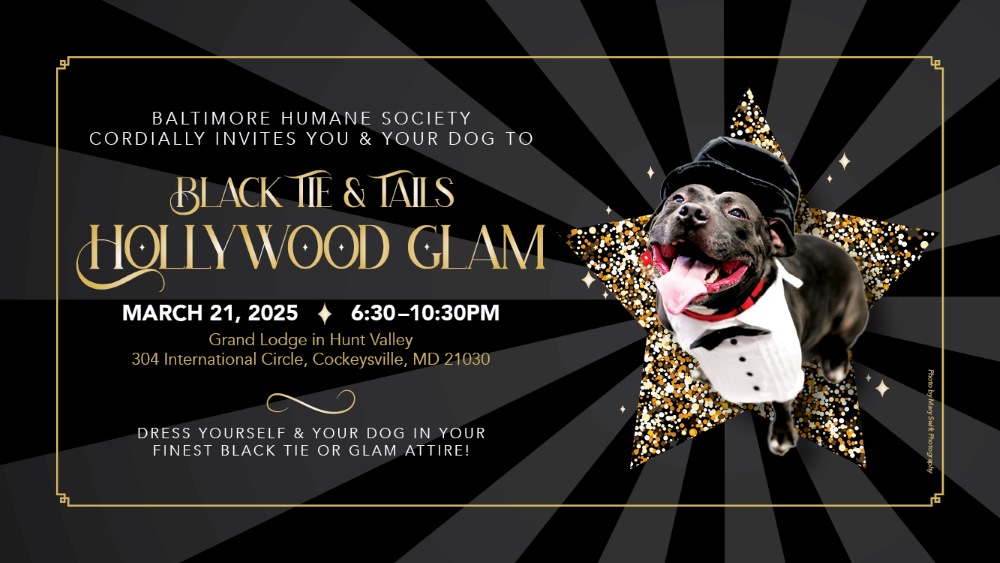 Black Tie & Tails