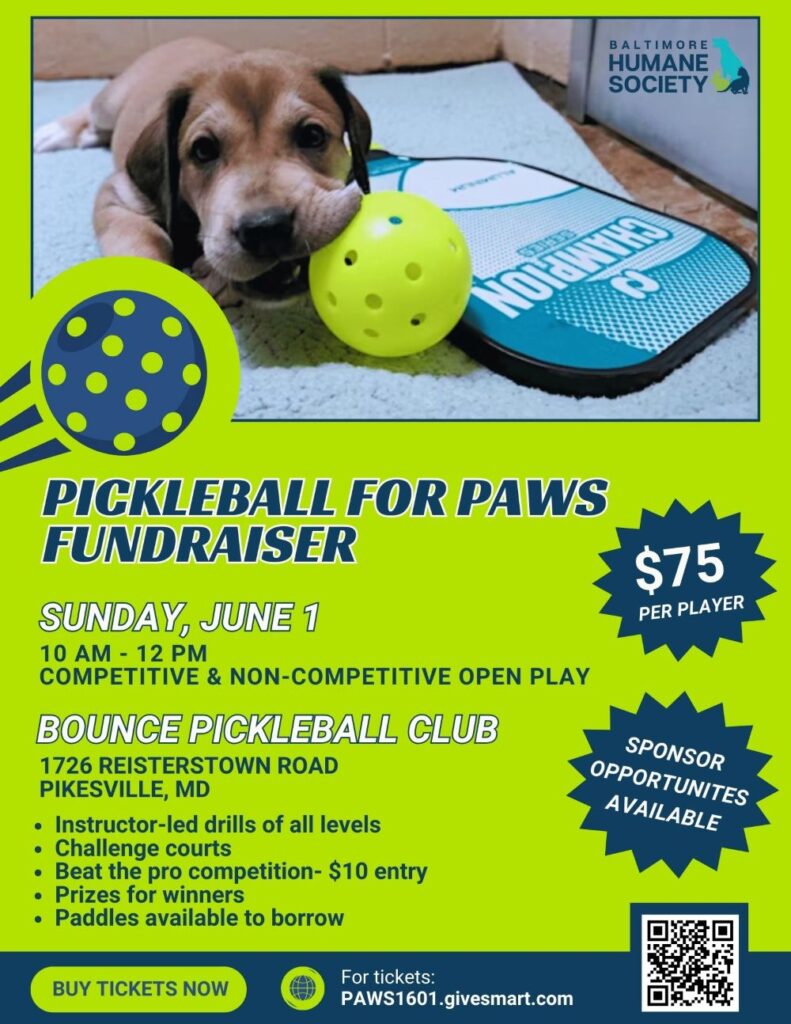 Pickleball for Paws