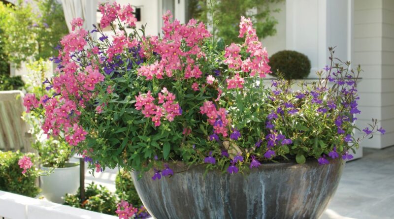 Container gardening