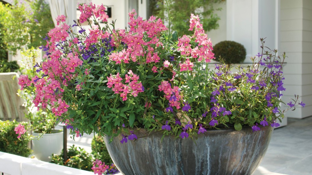 Container gardening