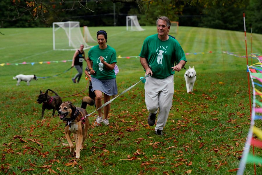 Doggie Dash