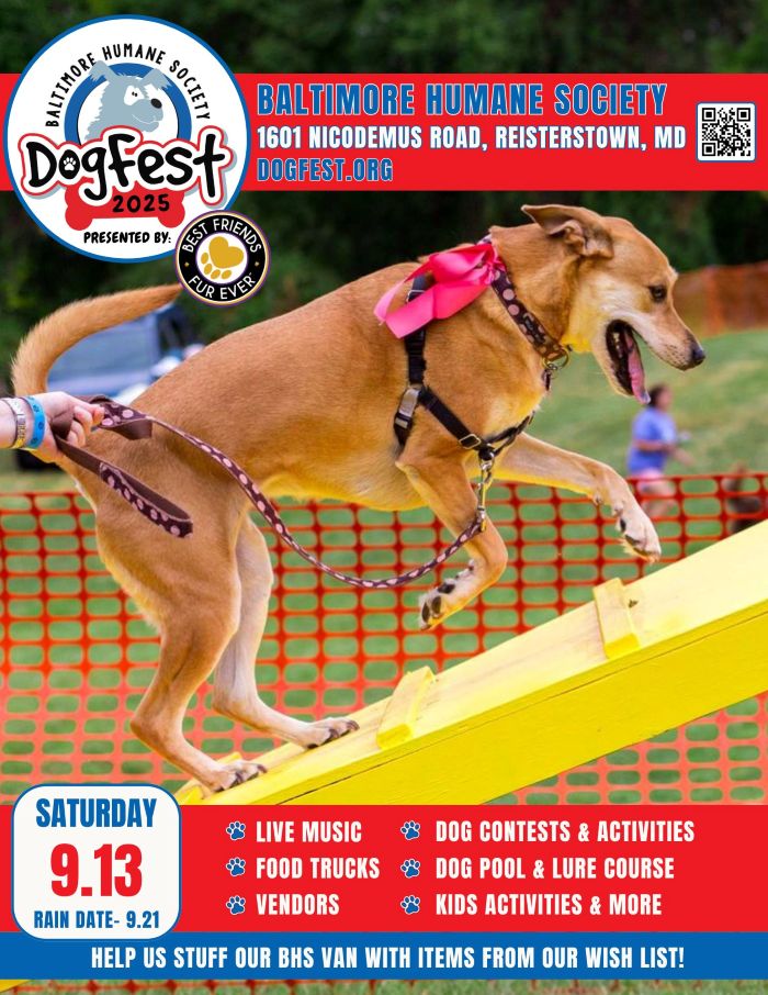 Dogfest 2025