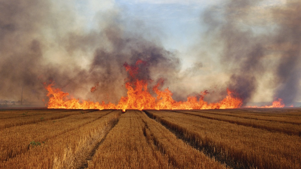 Larry Schwarm's "Wheat Stubble Fire, Eastern Colorado"
