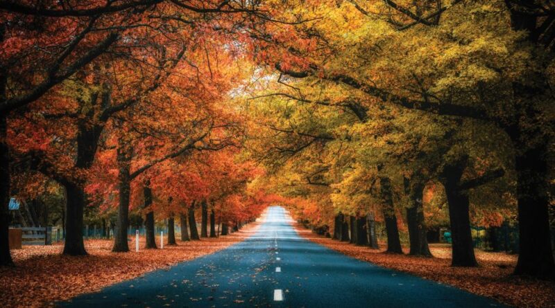 fall