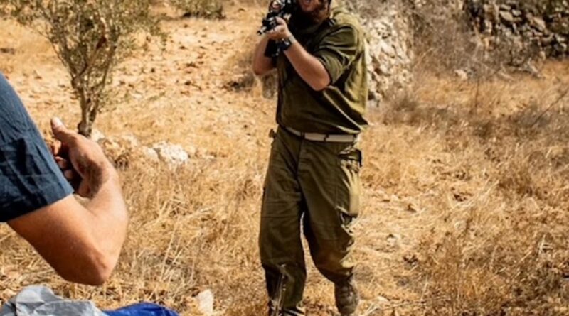 Settler attacking
