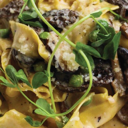 Tagliatelle Pasta