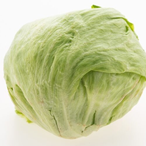 lettuce