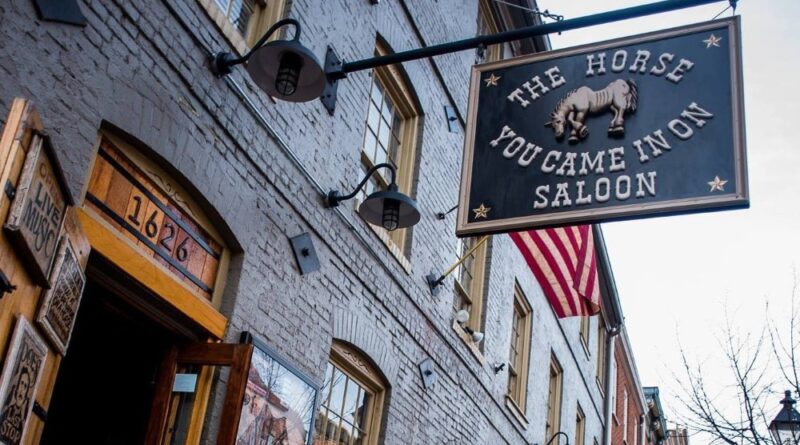 the horse you came in on