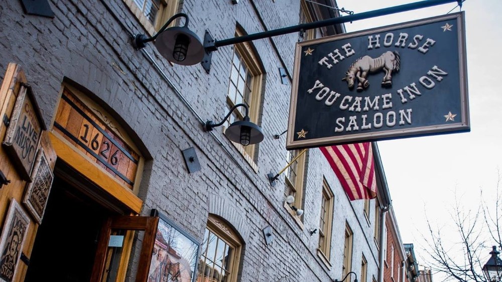 the horse you came in on