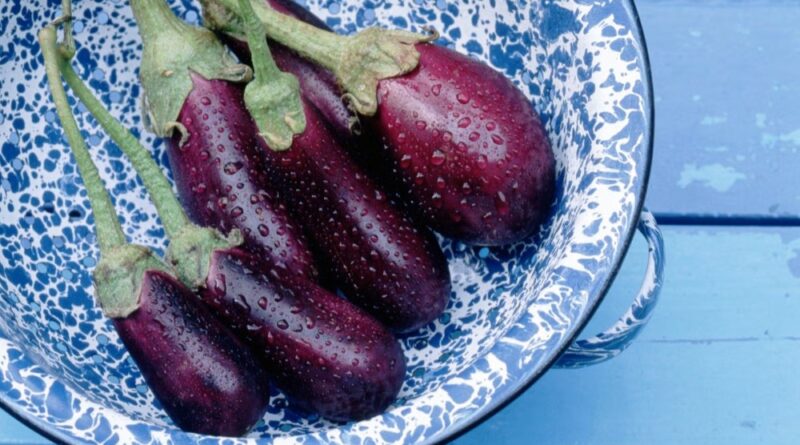 eggplant