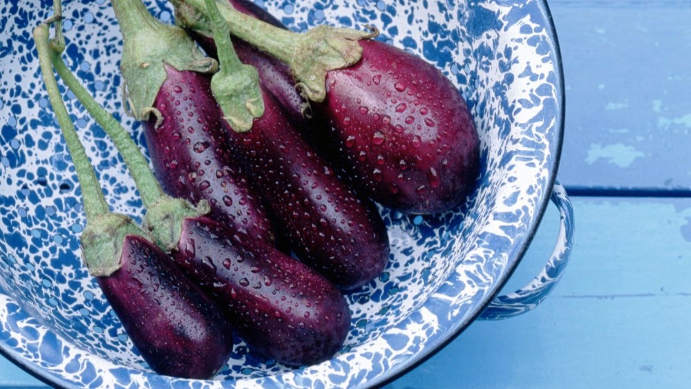 eggplant