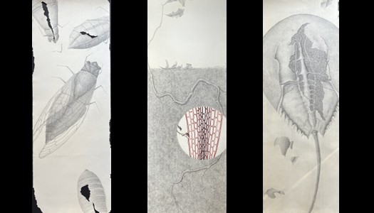 Kathy Strauss at Gallery 1448 (Opening Reception)