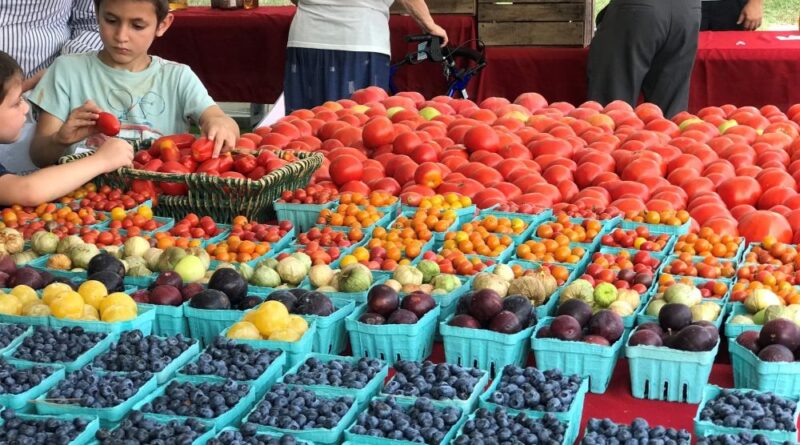 fruit at market