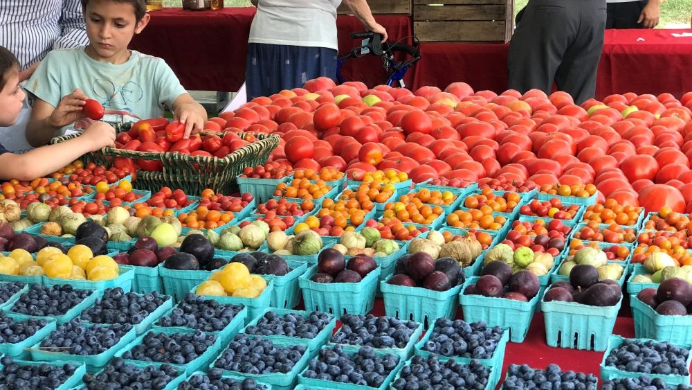fruit at market