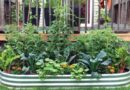 Container vegetable gardening