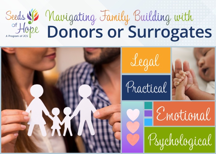 Navigating Family Building with Donors or Surrogates